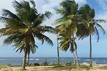 Dorado Centrally Located Guest House