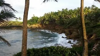 Dorado Centrally Located Guest House 3*,