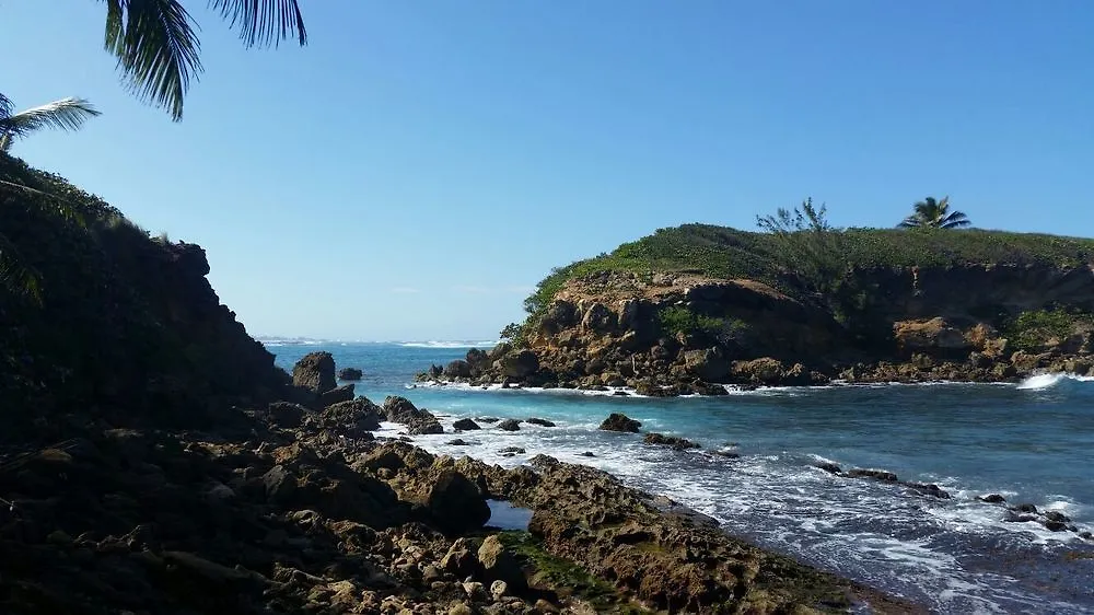 Dorado Centrally Located Guest House Hotel