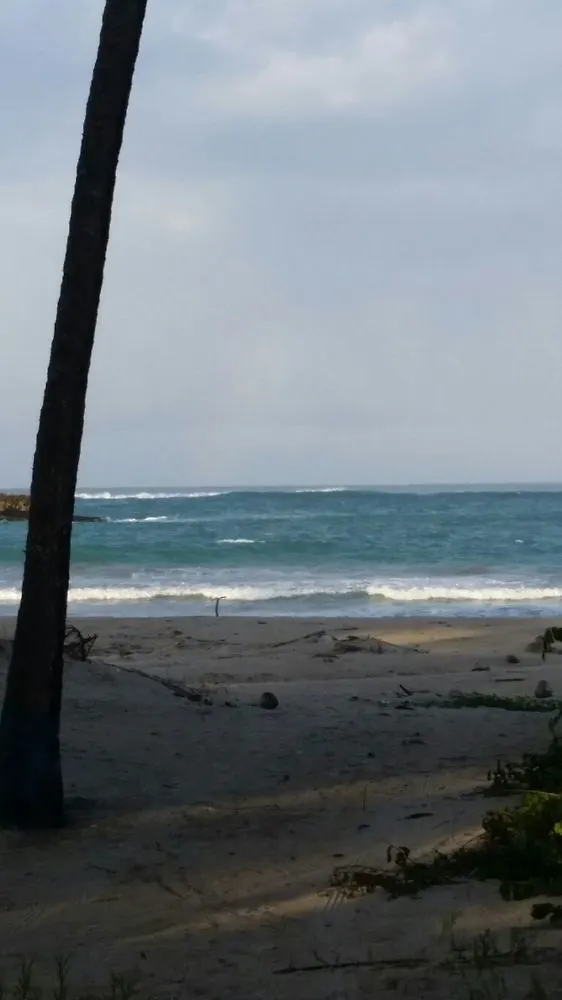 Dorado Centrally Located Guest House Hotel