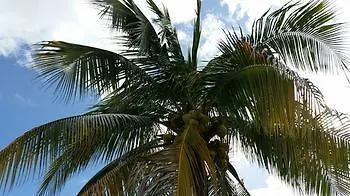 Dorado Centrally Located Guest House Puerto Rico
