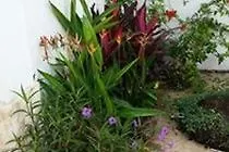 Dorado Centrally Located Guest House 3*,