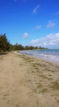 Dorado Centrally Located Guest House